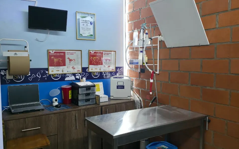 Hospital Veterinario Santa Martha 5