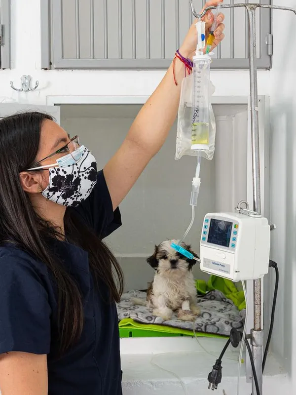 Hospitalización 24h