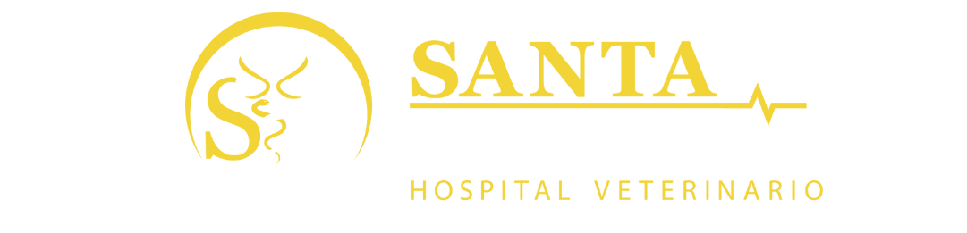 Hospital Veterinario Santa Martha